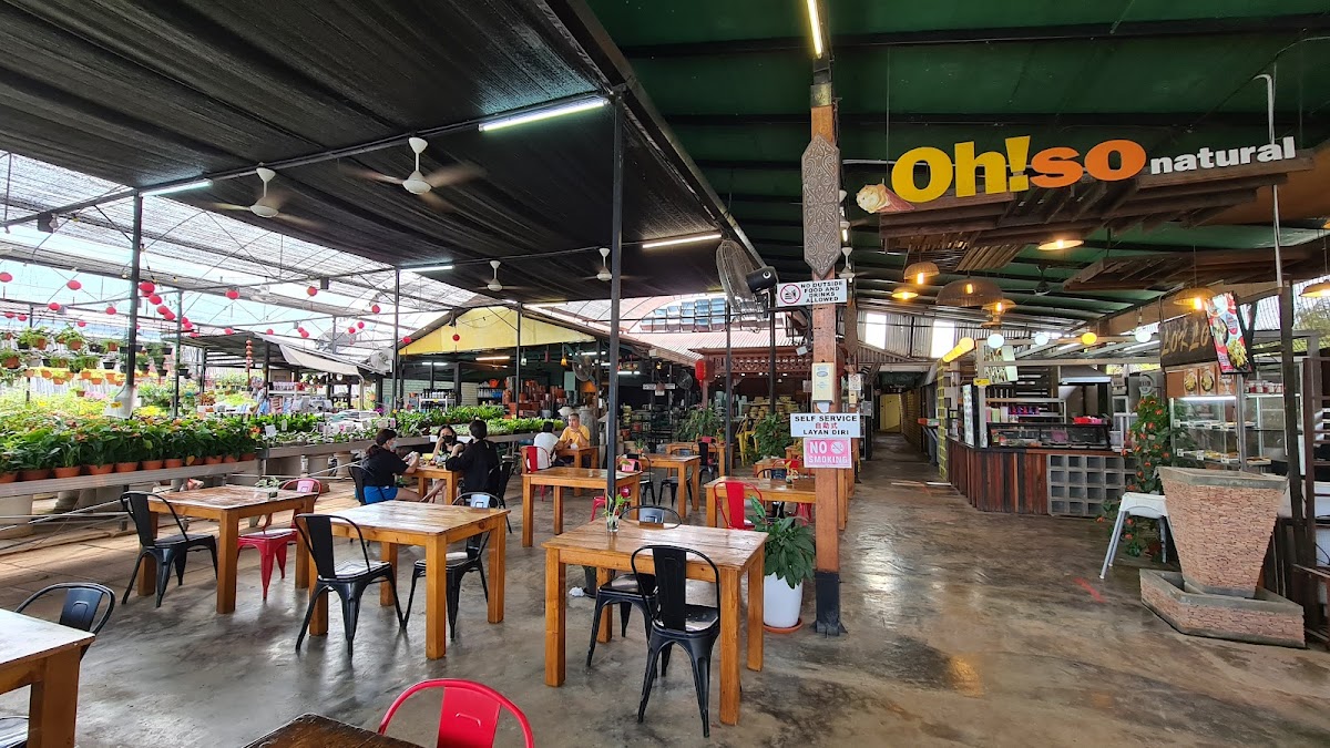 Rainforest Garden Cafe